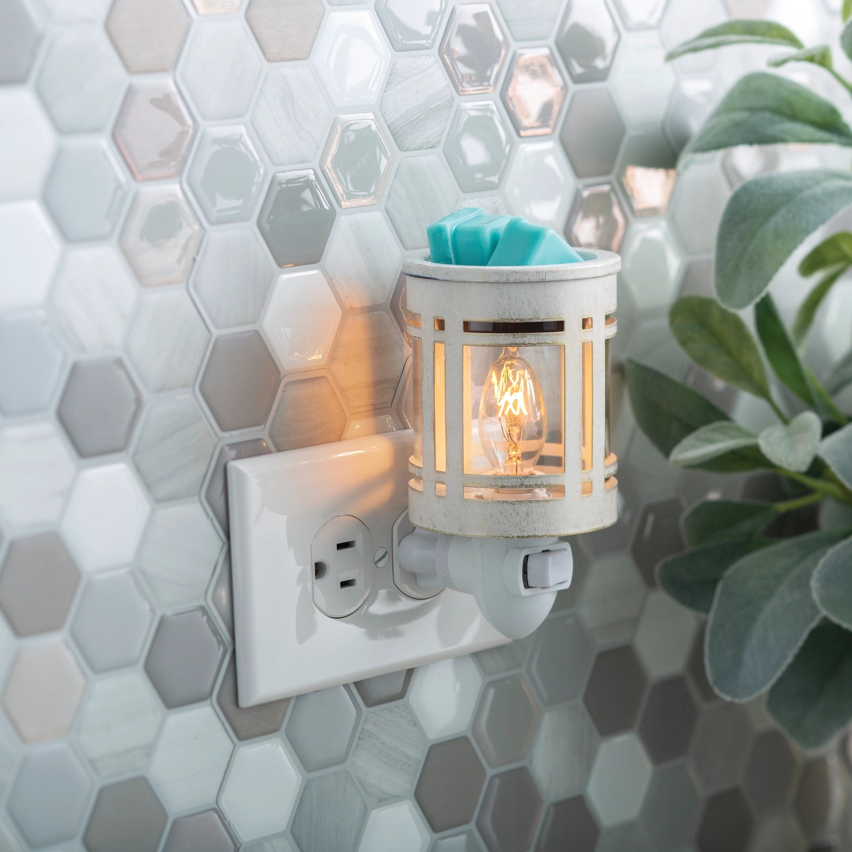 Wax Warmer Plug-ins (Multiple Options)