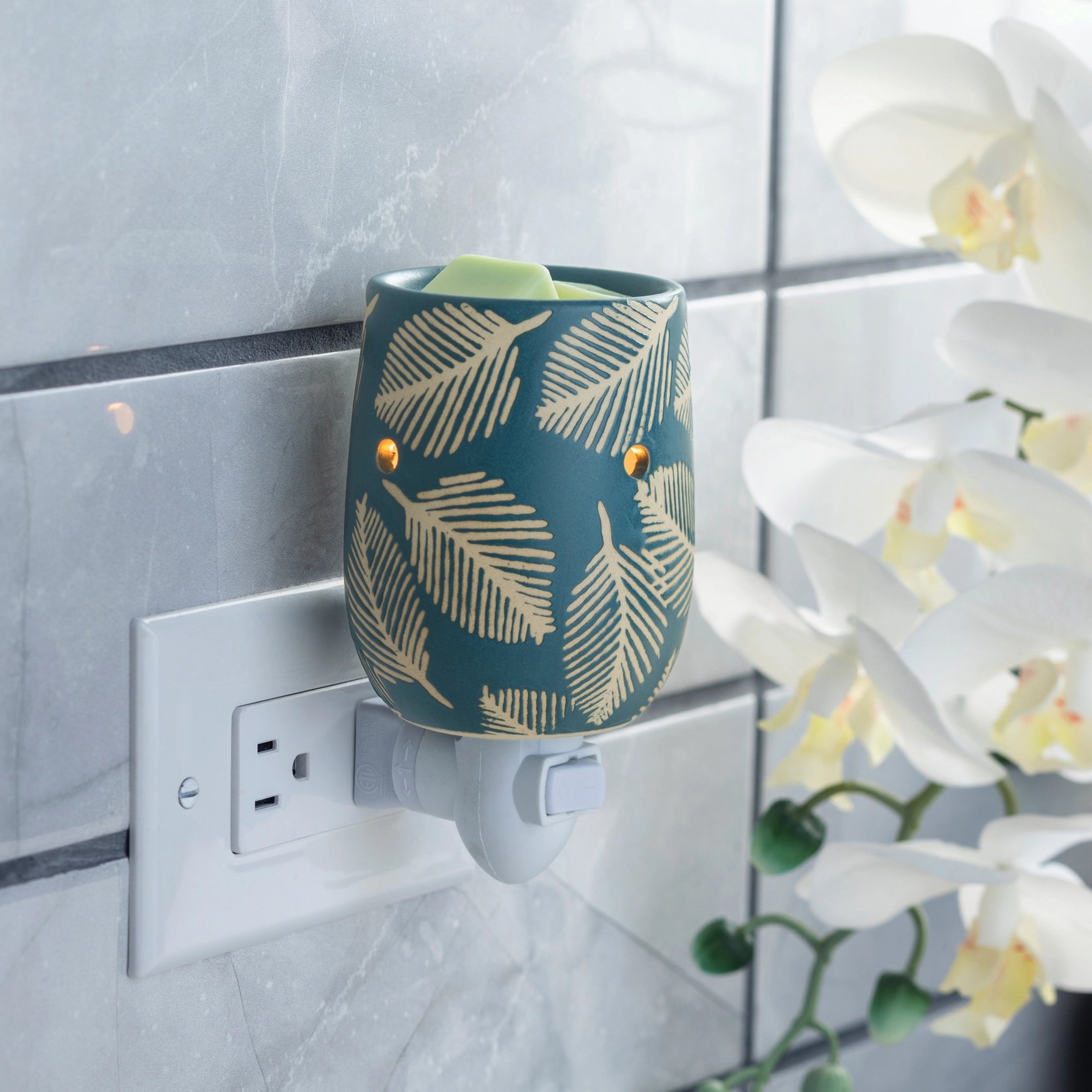 Wax Warmer Plug-ins (Multiple Options)