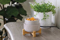 Wax Warmer (Multiple Options)