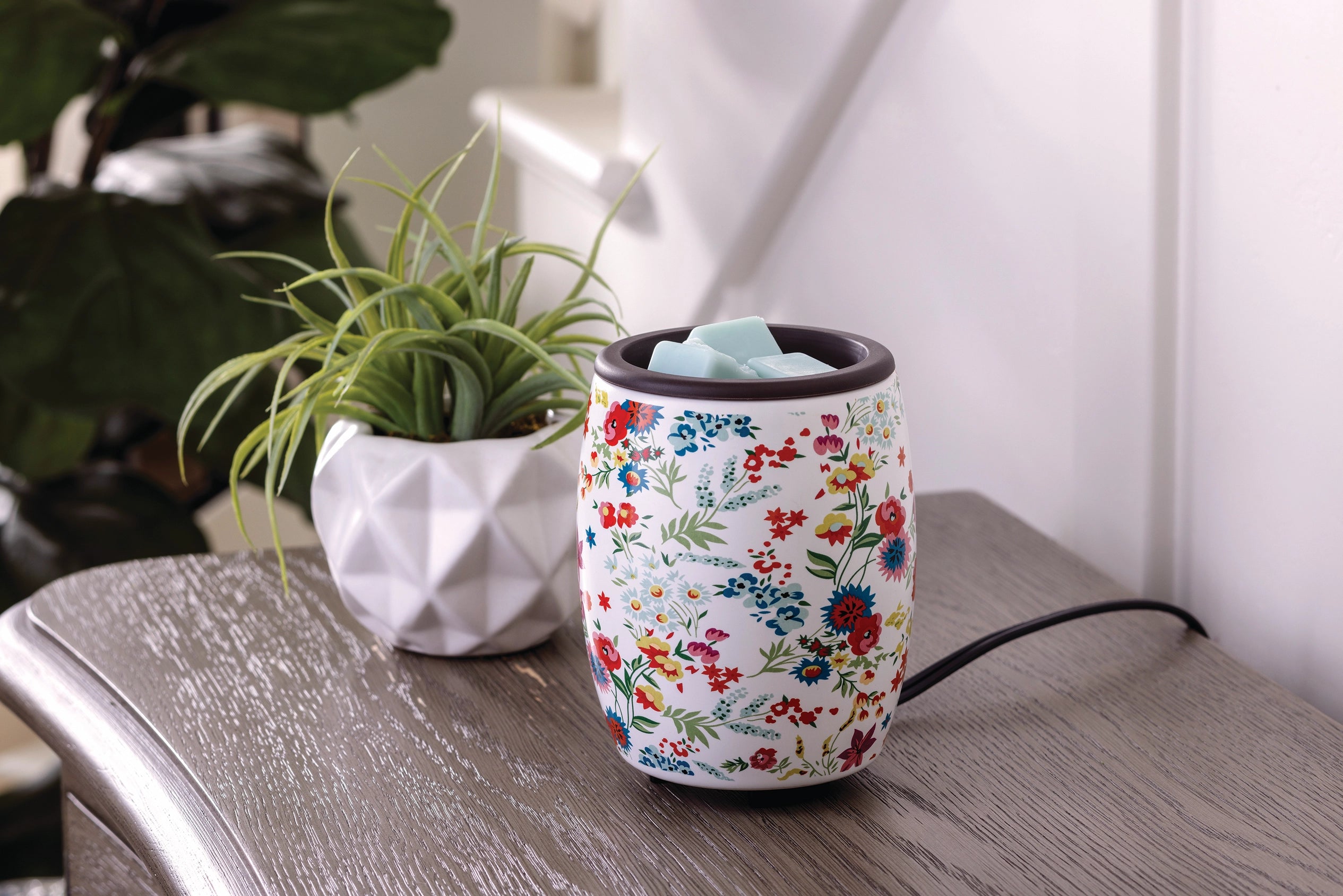 Wax Warmer (Multiple Options)